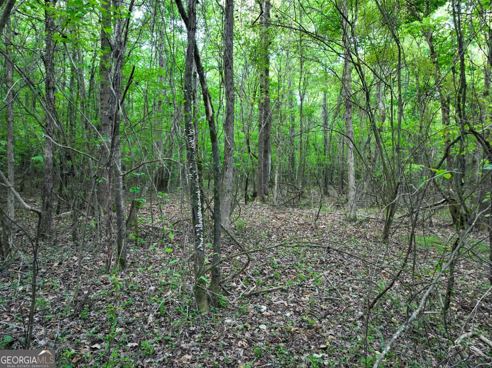0 Zebulon RD Milner, GA 30257