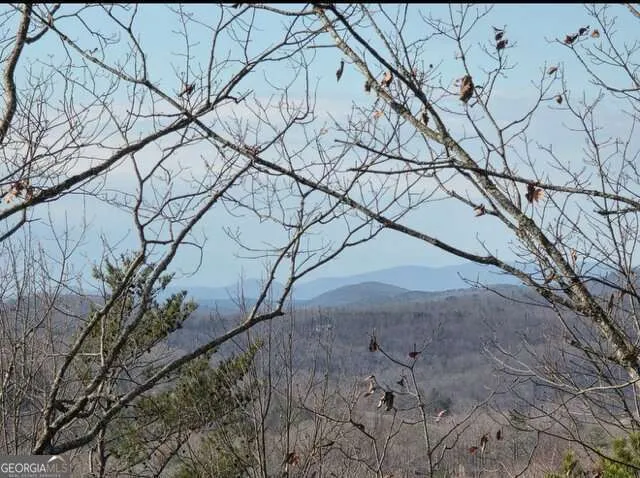 100 Hidden Hollow LN Dahlonega, GA 30533