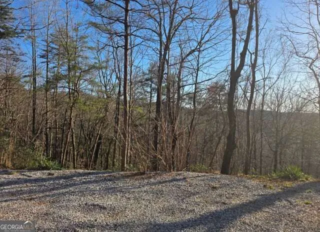 100 Hidden Hollow LN Dahlonega, GA 30533