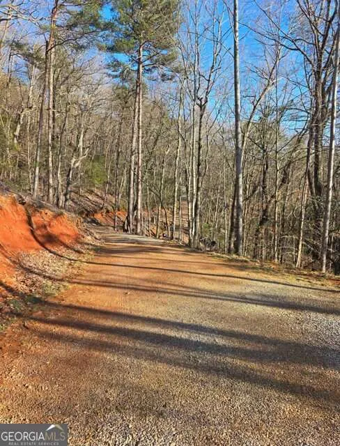 100 Hidden Hollow LN Dahlonega, GA 30533
