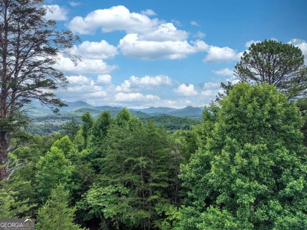 2368 Haven Heights RD Hiawassee, GA 30546