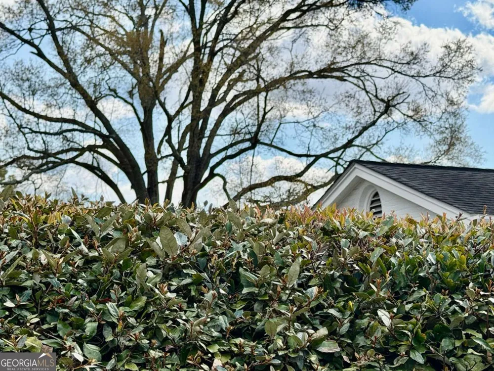 1206 Center DR Vidalia, GA 30474