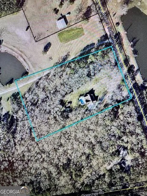 241 Waters Station RD Sylvania, GA 30467