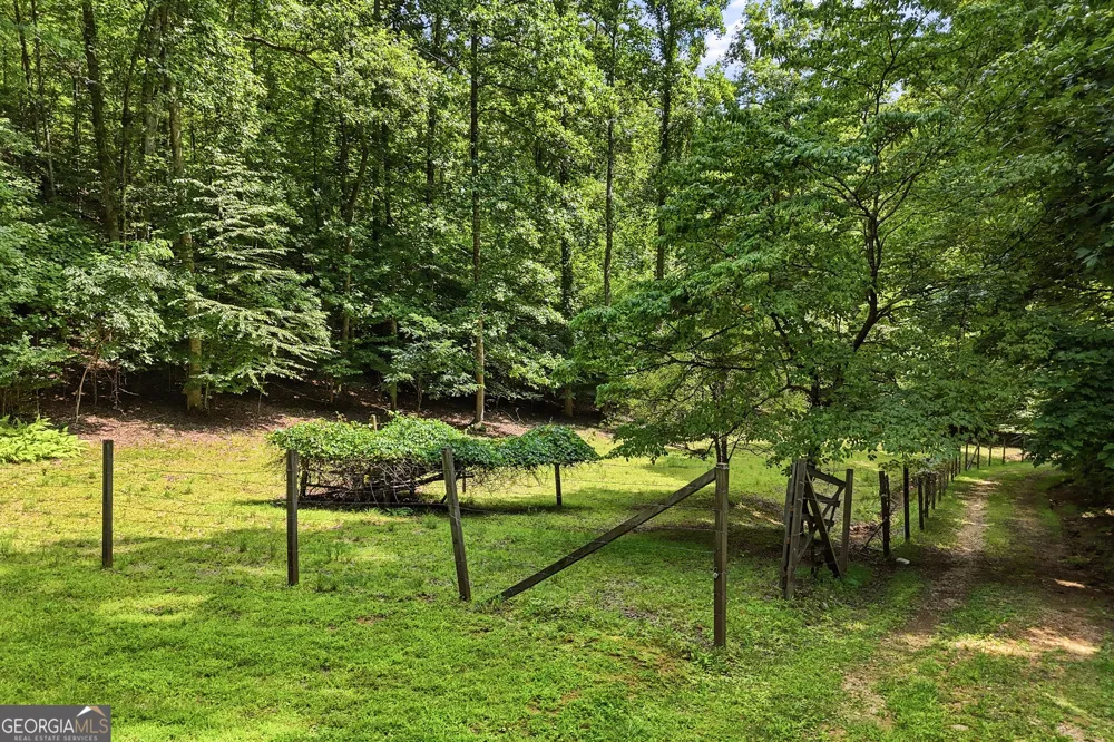 467 Gilliam RD Mineral Bluff, GA 30559
