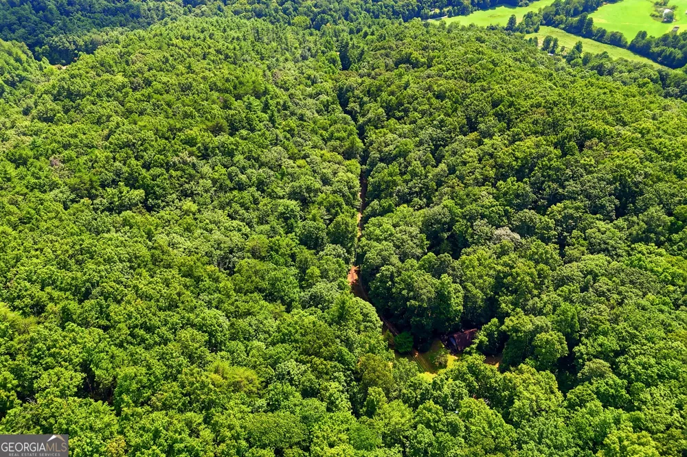 467 Gilliam RD Mineral Bluff, GA 30559