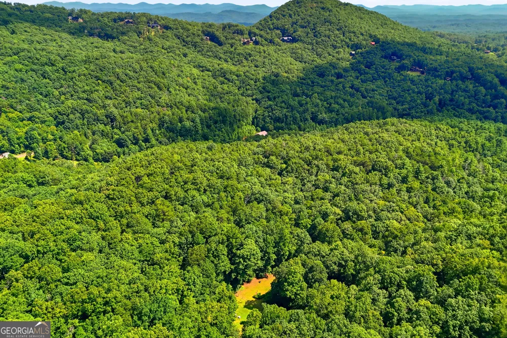 467 Gilliam RD Mineral Bluff, GA 30559