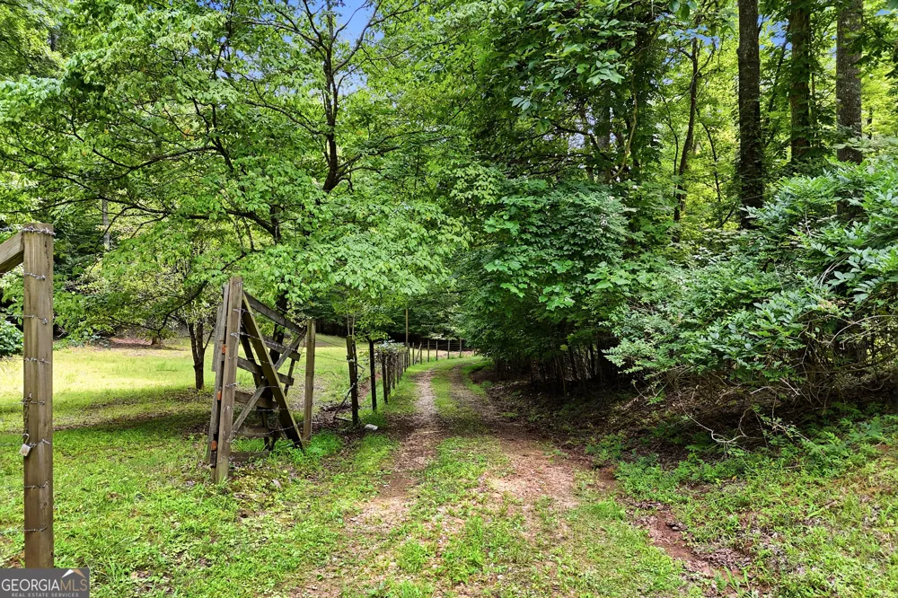 467 Gilliam RD Mineral Bluff, GA 30559