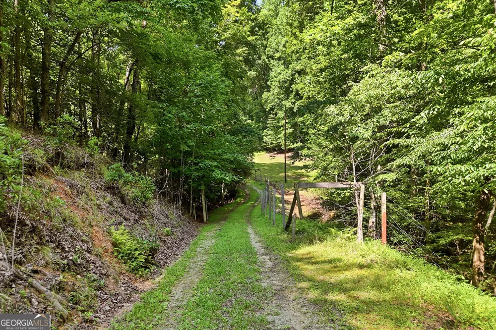 467 Gilliam RD Mineral Bluff, GA 30559
