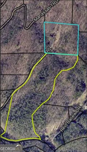 467 Gilliam RD Mineral Bluff, GA 30559