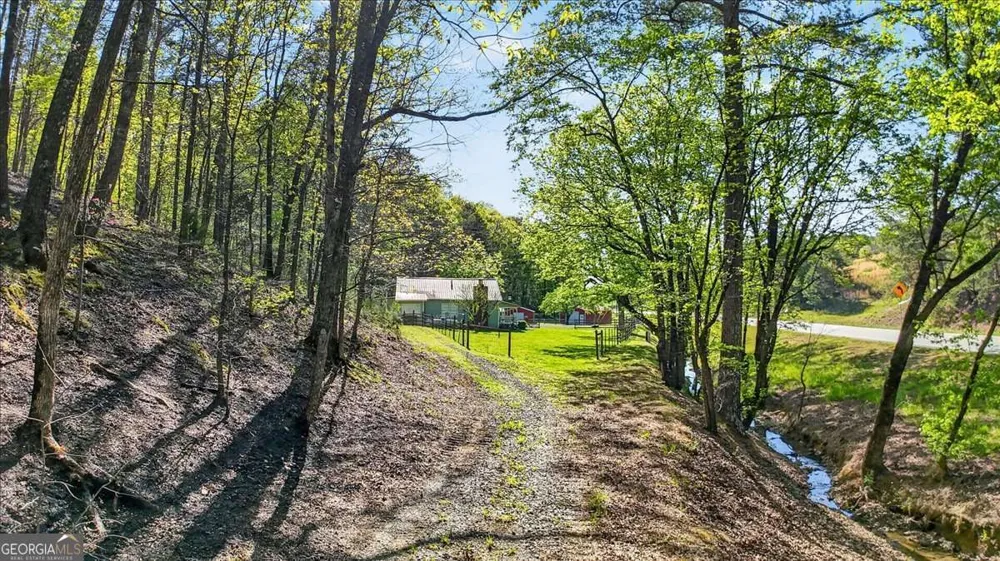 7433 Nicklesville RD NE Ranger, GA 30734