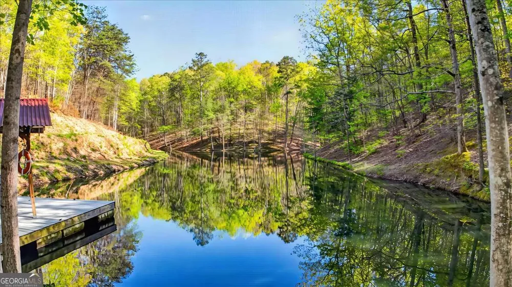 7433 Nicklesville RD NE Ranger, GA 30734