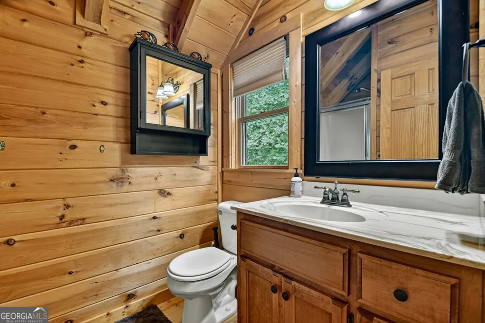 782 Scenic Mountain View RD Blue Ridge, GA 30513