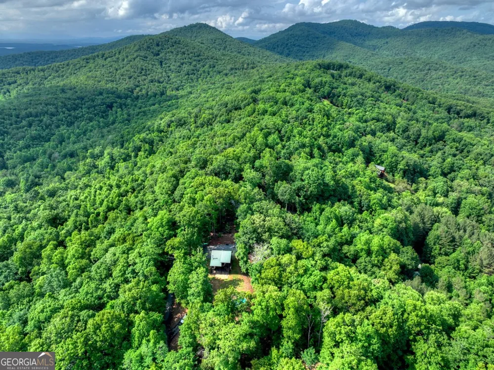 782 Scenic Mountain View RD Blue Ridge, GA 30513