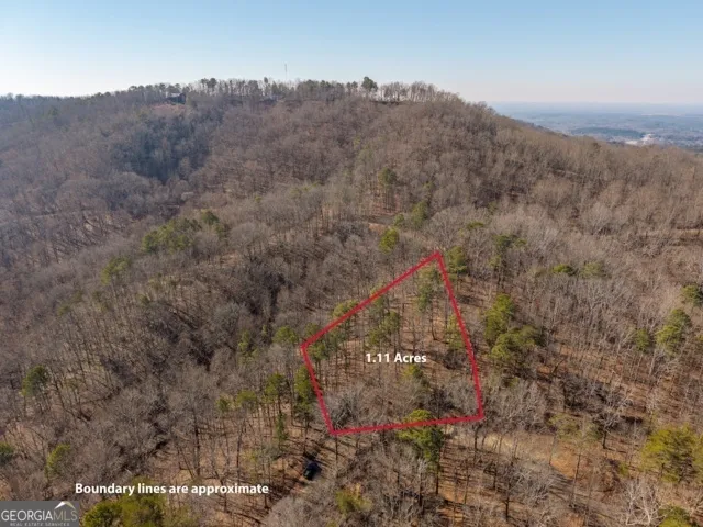 1110 Mayfield LN Ranger, GA 30734