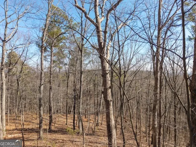 1110 Mayfield LN Ranger, GA 30734