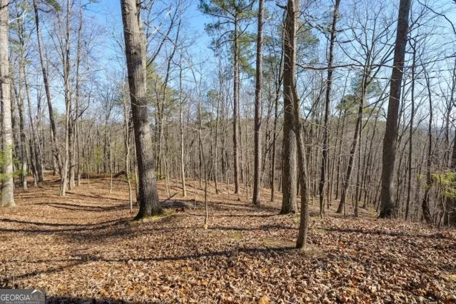 1110 Mayfield LN Ranger, GA 30734
