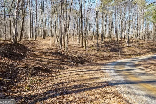 1110 Mayfield LN Ranger, GA 30734