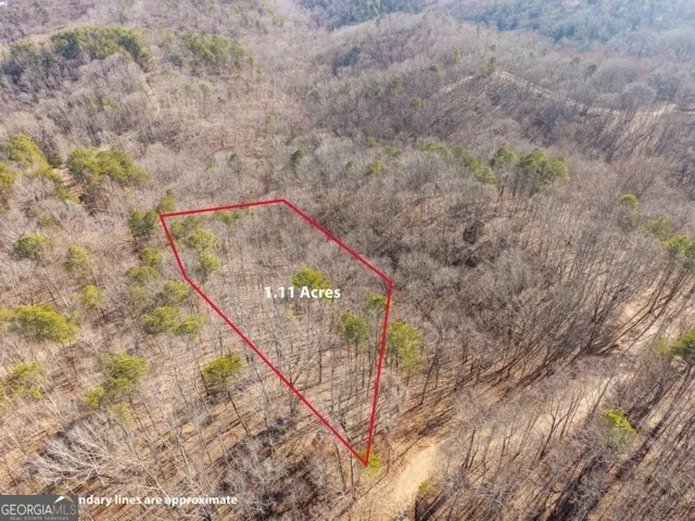 1110 Mayfield LN Ranger, GA 30734
