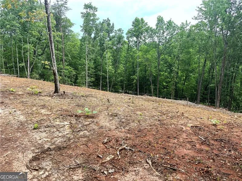 329 River Highlands RD Dahlonega, GA 30533