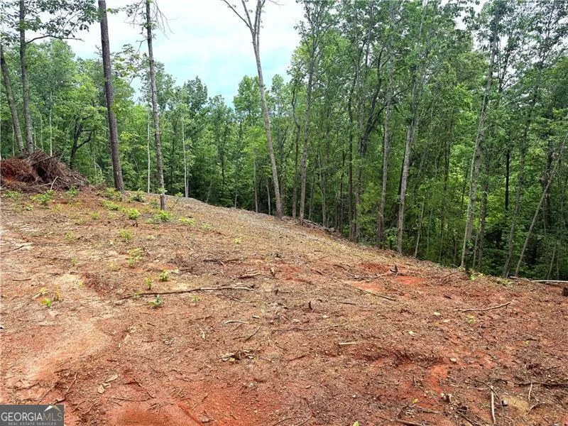 329 River Highlands RD Dahlonega, GA 30533
