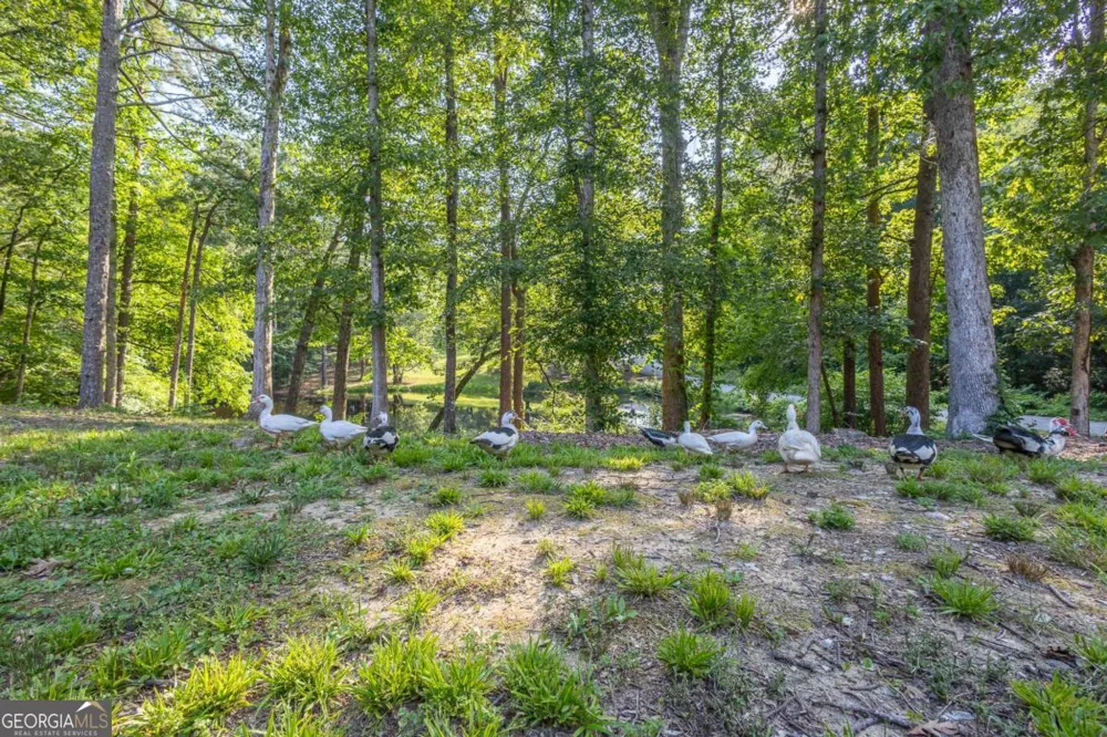 45 Lee DR Carrollton, GA 30116