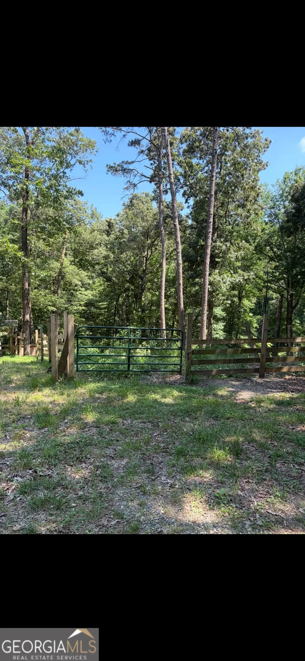 388 River Shoals RD Dawsonville, GA 30534