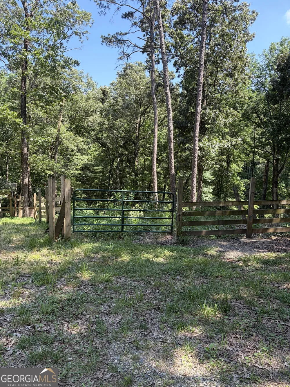 388 River Shoals RD Dawsonville, GA 30534