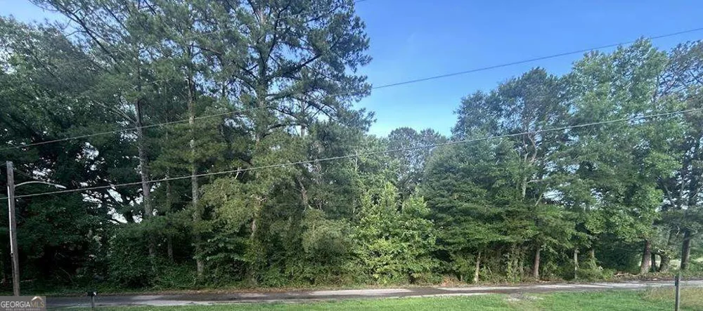 0 Williams ST Woodland, AL 36280