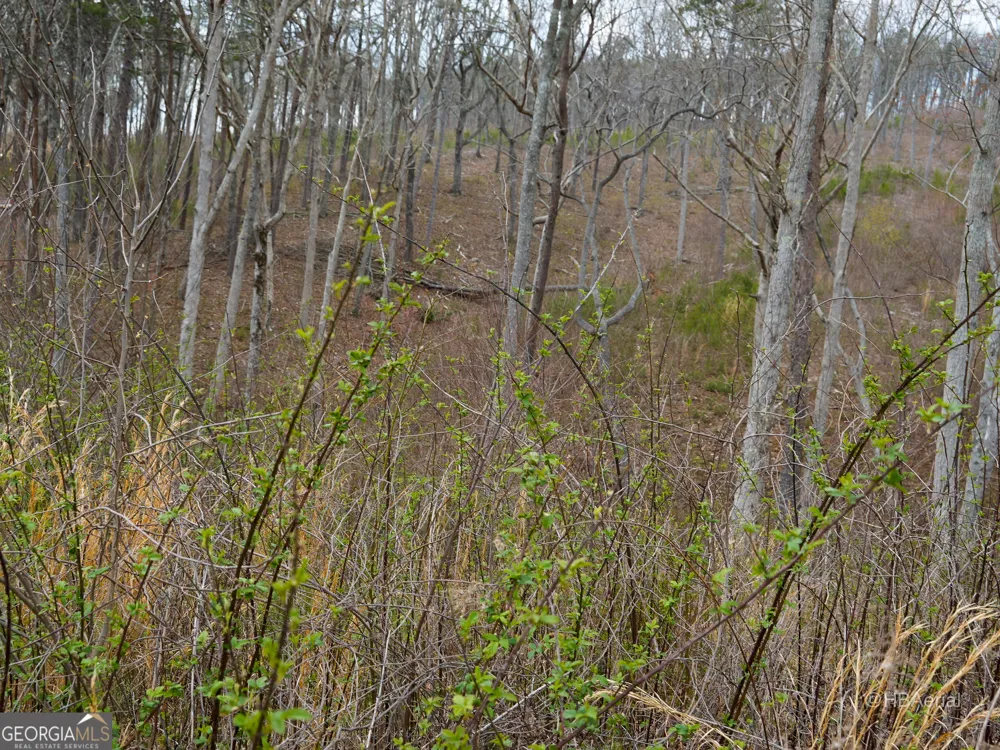 LOT #286 Oak Park DR Talking Rock, GA 30175