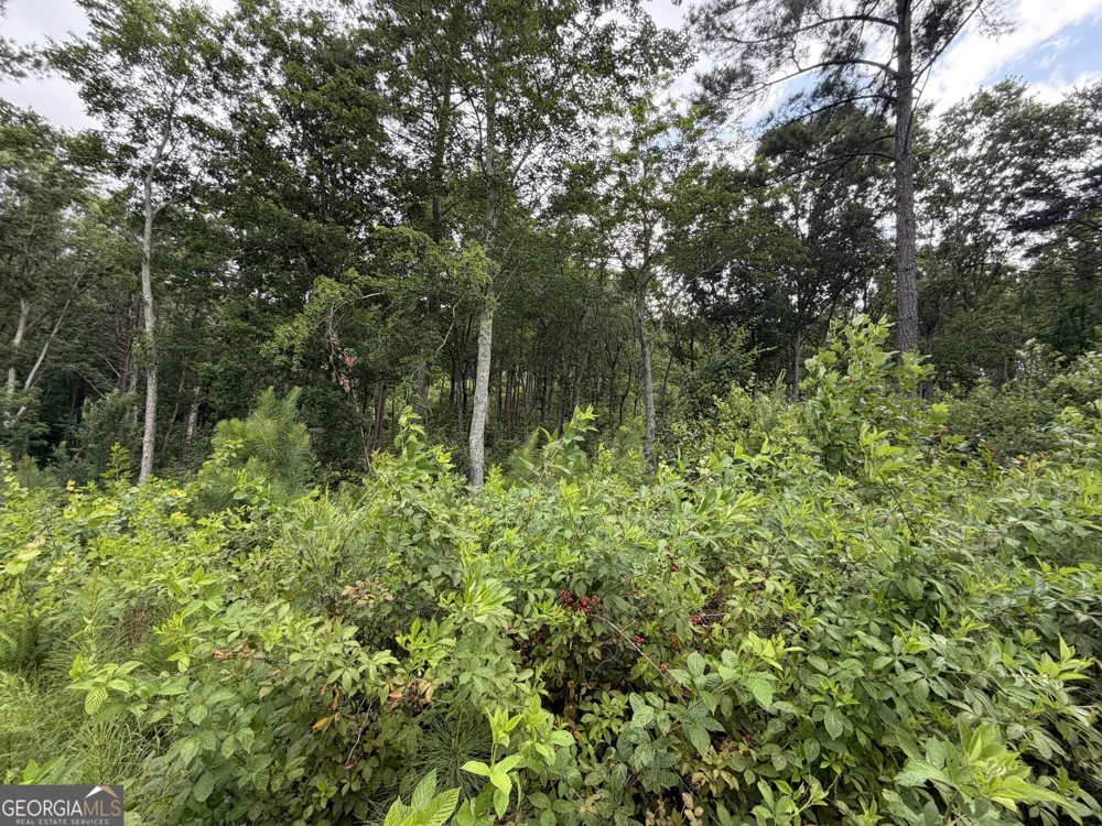 LOT #286 Oak Park DR Talking Rock, GA 30175