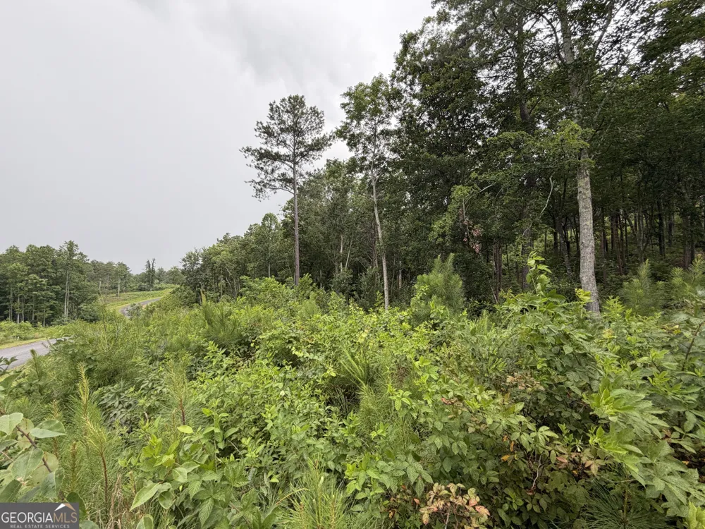 LOT #286 Oak Park DR Talking Rock, GA 30175