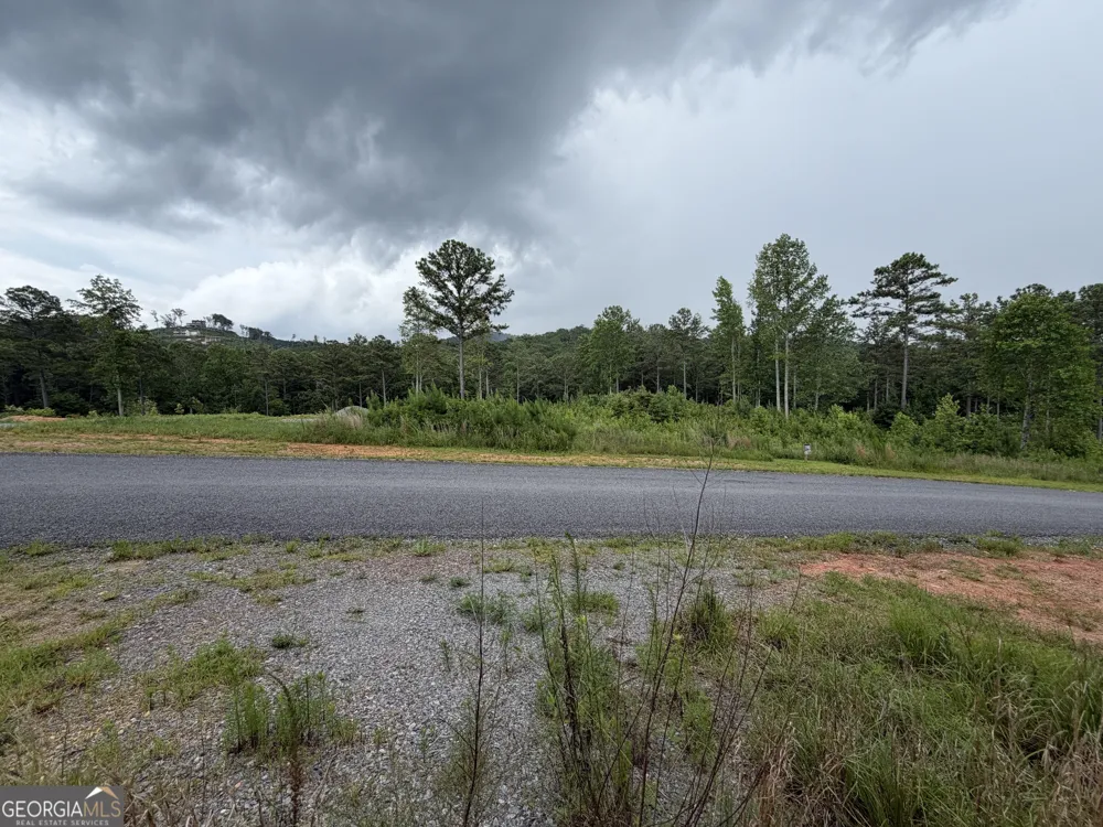 LOT #286 Oak Park DR Talking Rock, GA 30175