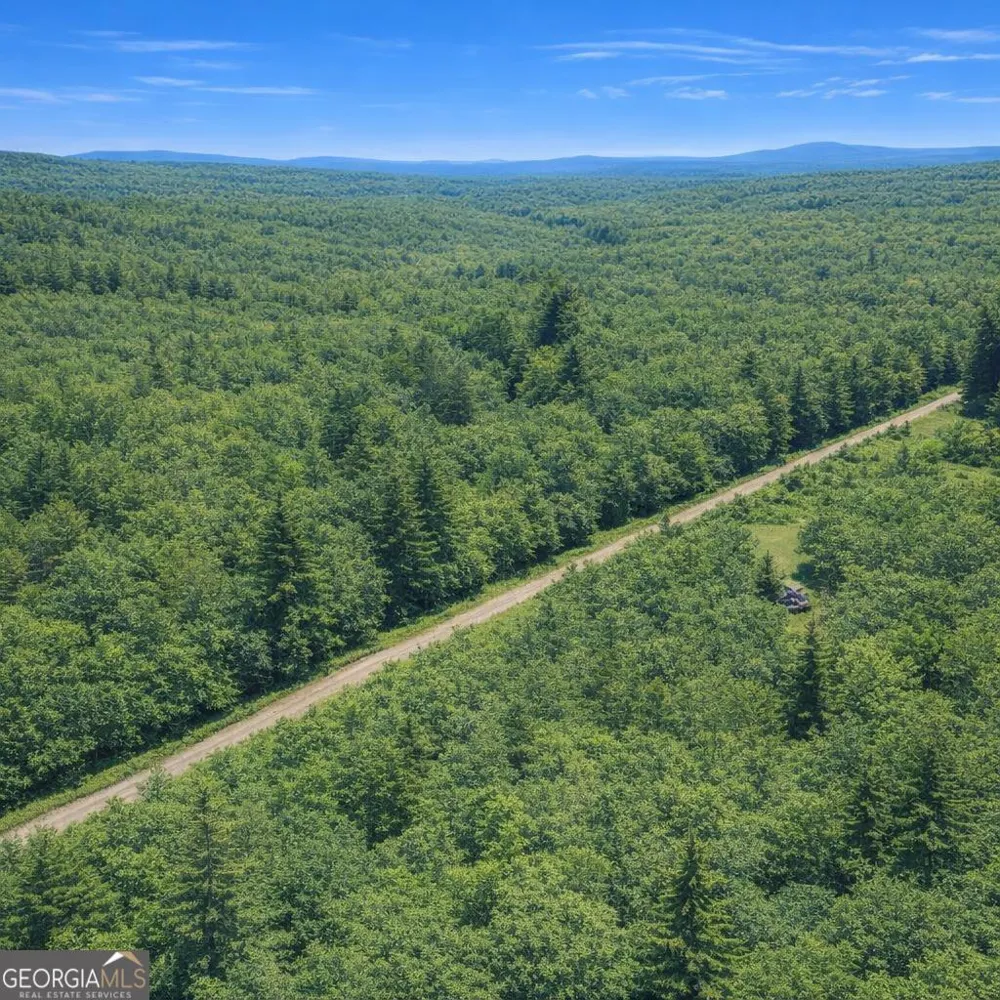 2.04 ACRES Holmestown Loop RD Midway, GA 31320