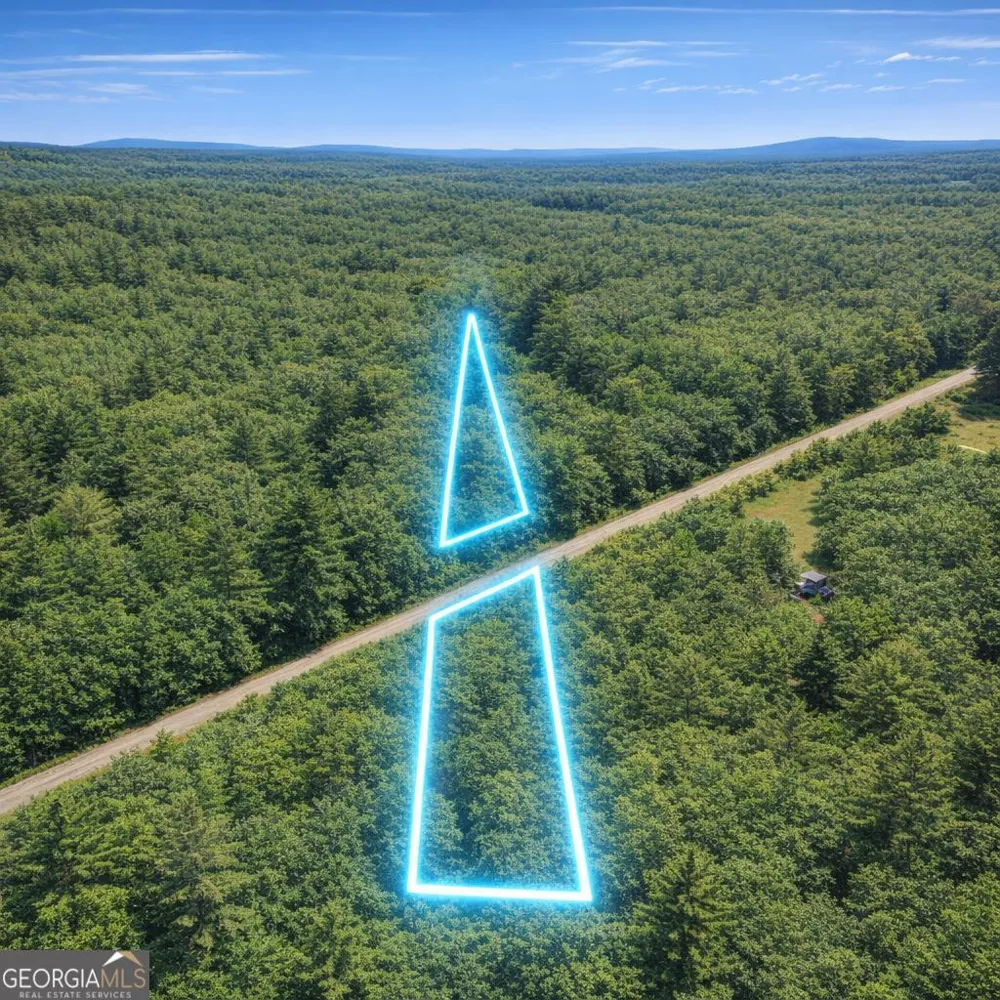 2.04 ACRES Holmestown Loop RD Midway, GA 31320