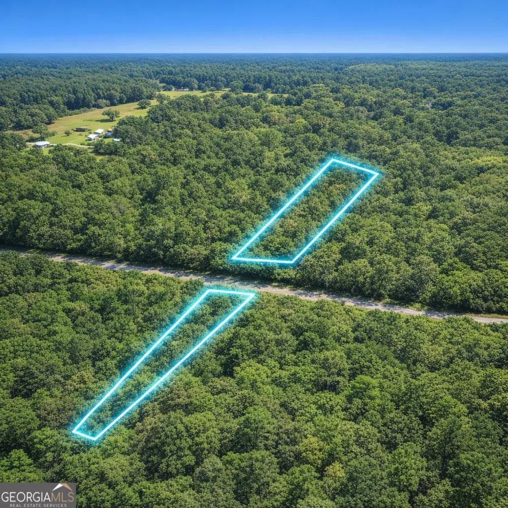 2.04 ACRES Holmestown Loop RD Midway, GA 31320