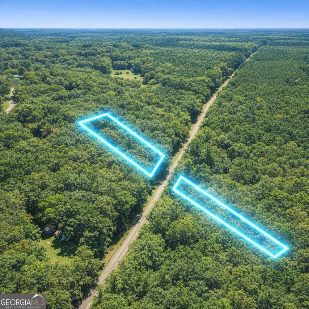 2.04 ACRES Holmestown Loop RD Midway, GA 31320