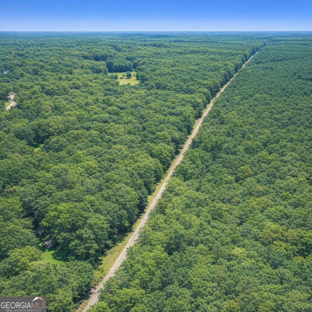 2.04 ACRES Holmestown Loop RD Midway, GA 31320
