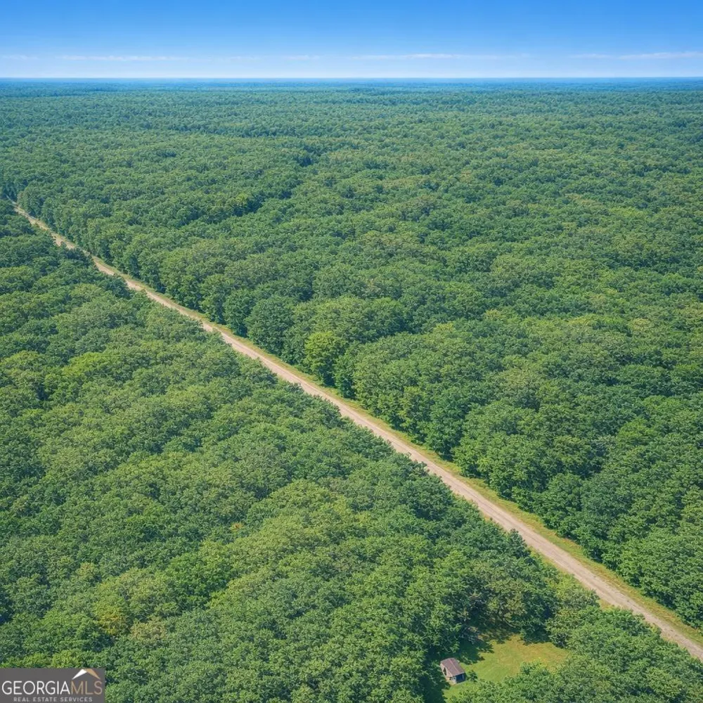 2.04 ACRES Holmestown Loop RD Midway, GA 31320