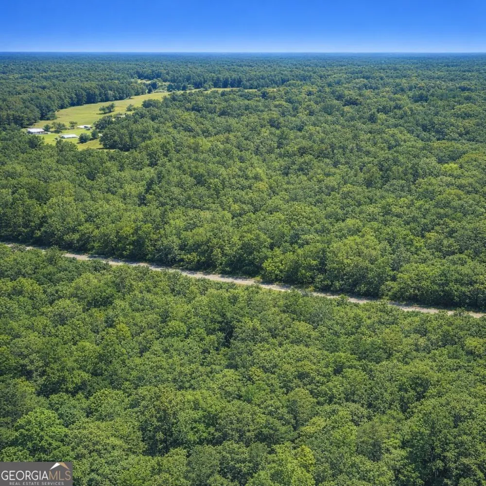 2.04 ACRES Holmestown Loop RD Midway, GA 31320