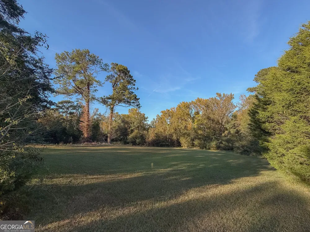 341 Azalea AVE Millen, GA 30442