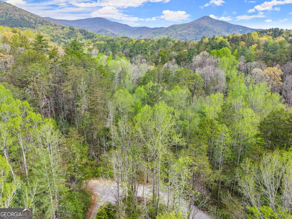 0 S Fern Cove RD Sautee Nacoochee, GA 30571