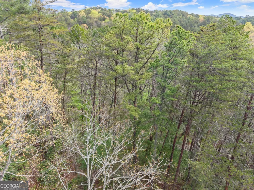 0 S Fern Cove RD Sautee Nacoochee, GA 30571