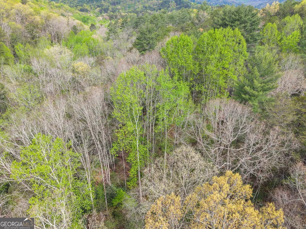 0 S Fern Cove RD Sautee Nacoochee, GA 30571