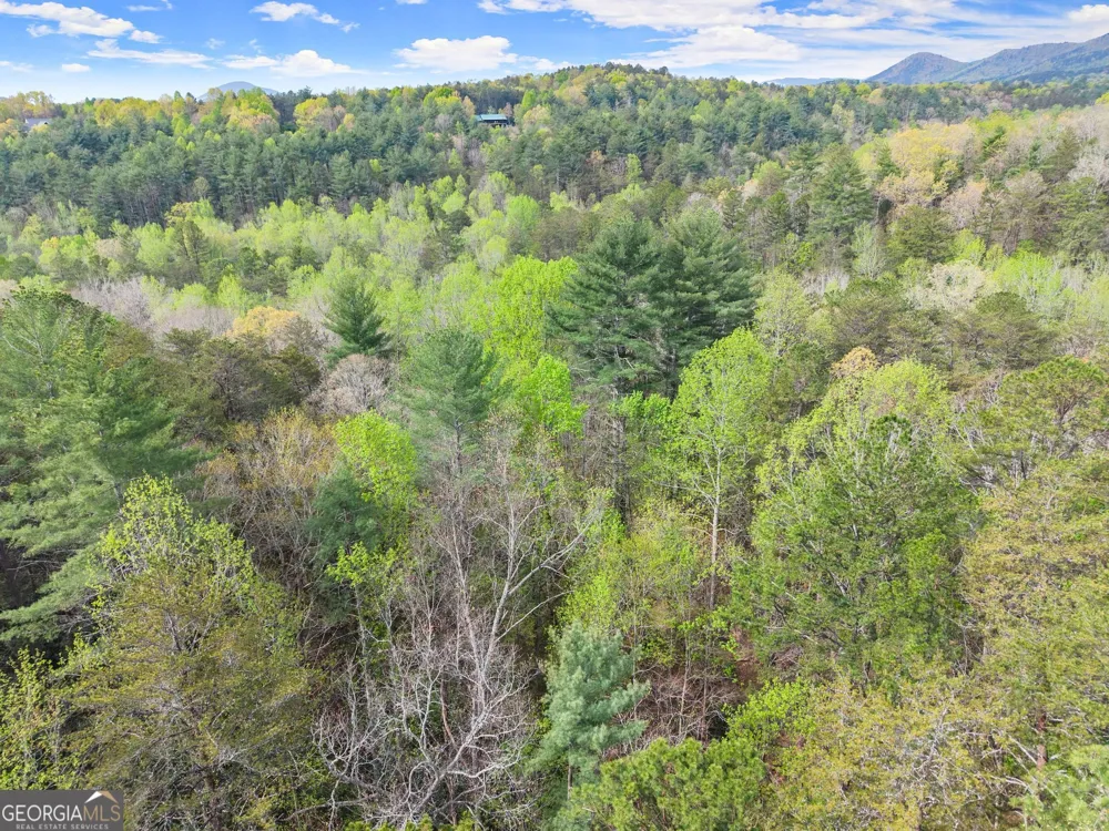 0 S Fern Cove RD Sautee Nacoochee, GA 30571