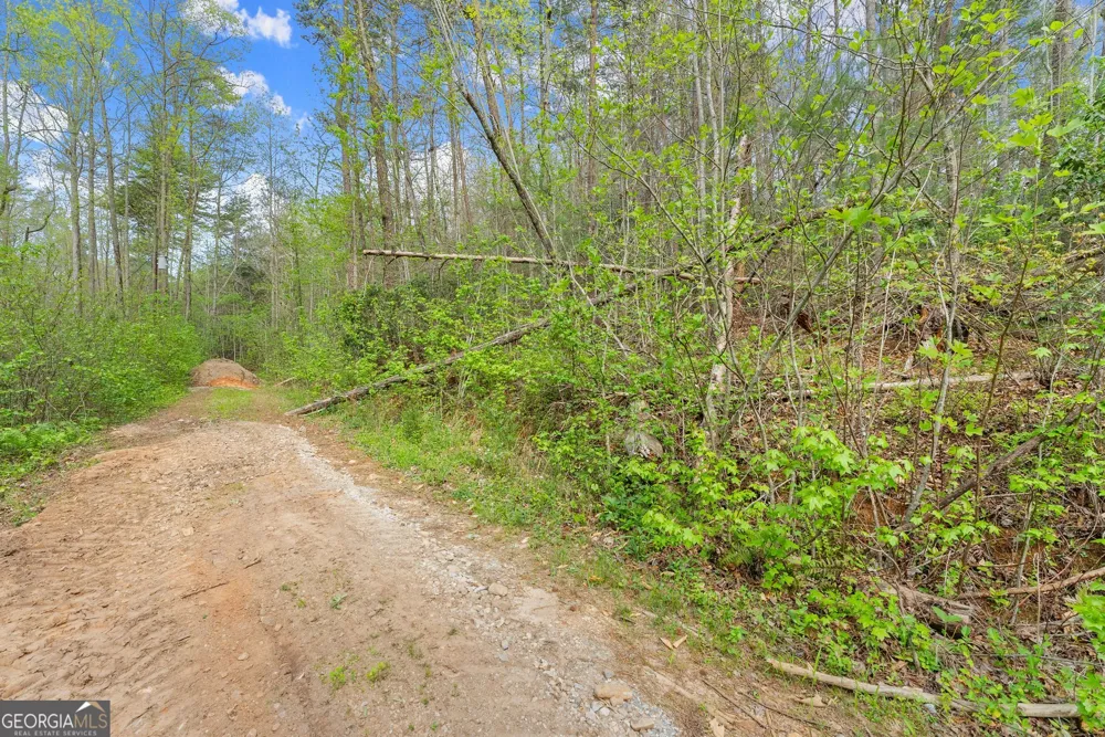 0 S Fern Cove RD Sautee Nacoochee, GA 30571