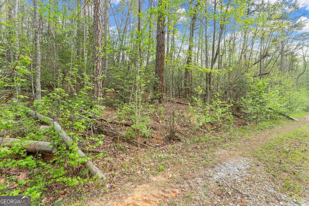 0 S Fern Cove RD Sautee Nacoochee, GA 30571