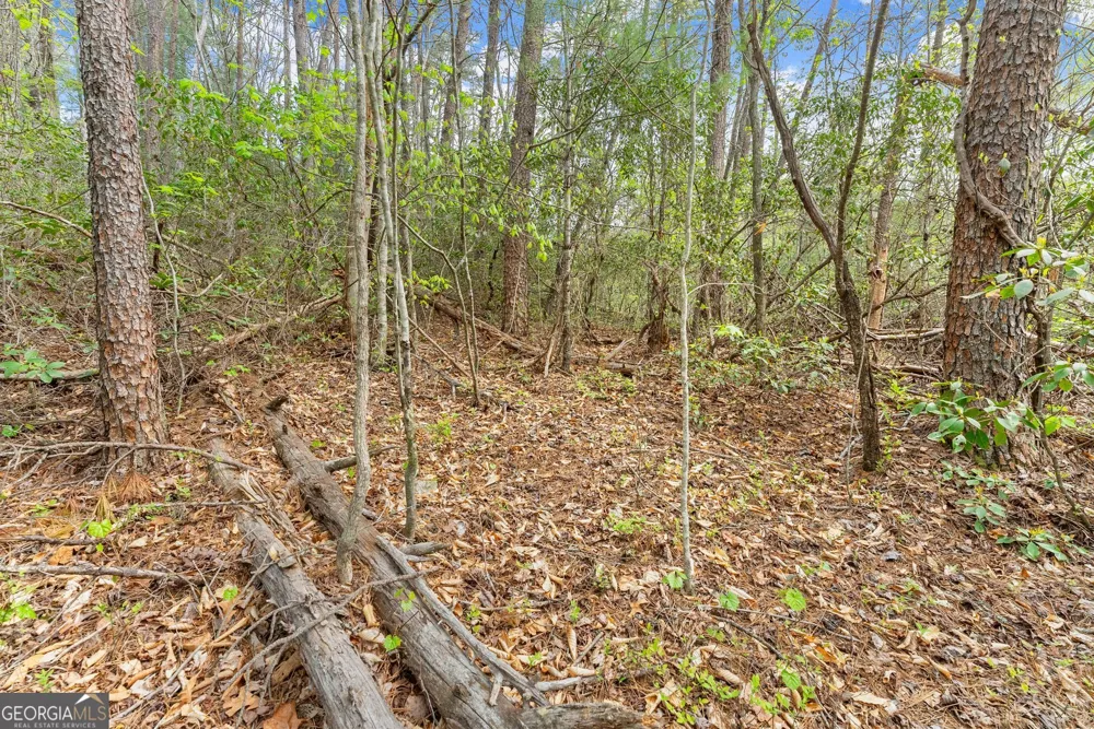 0 S Fern Cove RD Sautee Nacoochee, GA 30571