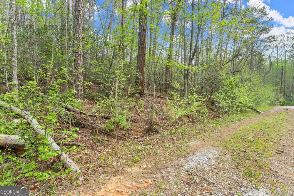 0 S Fern Cove RD Sautee Nacoochee, GA 30571