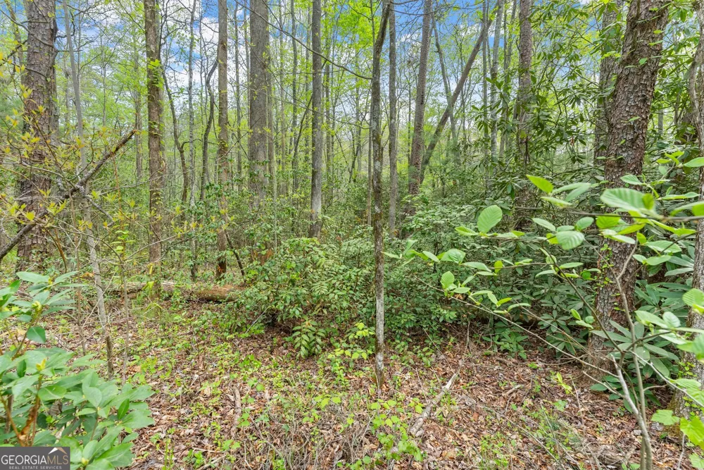 0 S Fern Cove RD Sautee Nacoochee, GA 30571