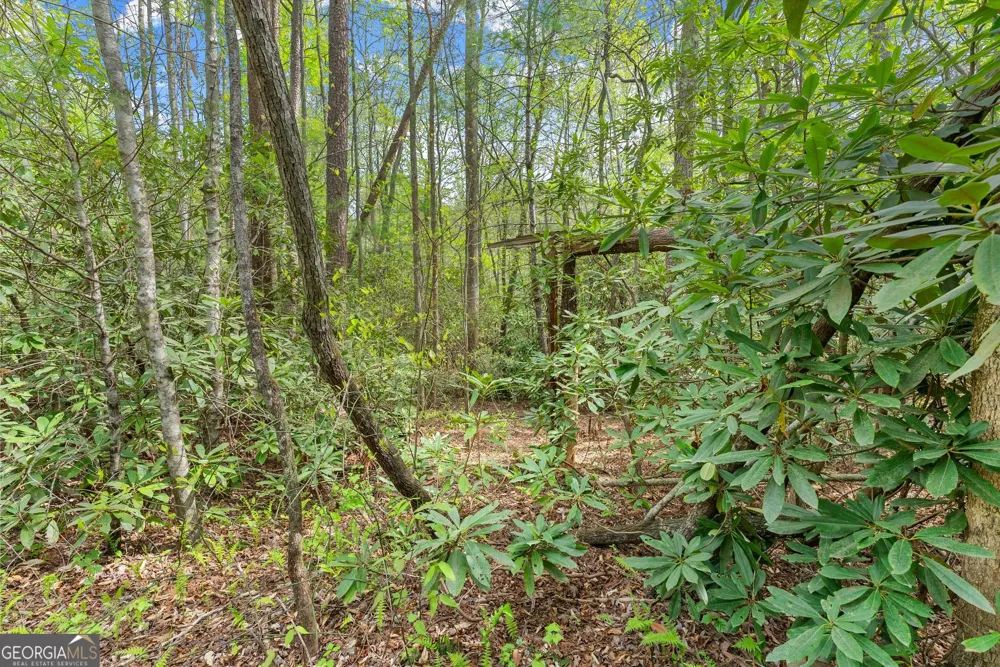 0 S Fern Cove RD Sautee Nacoochee, GA 30571